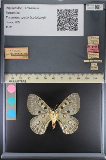 Media type: image; Entomology 97285